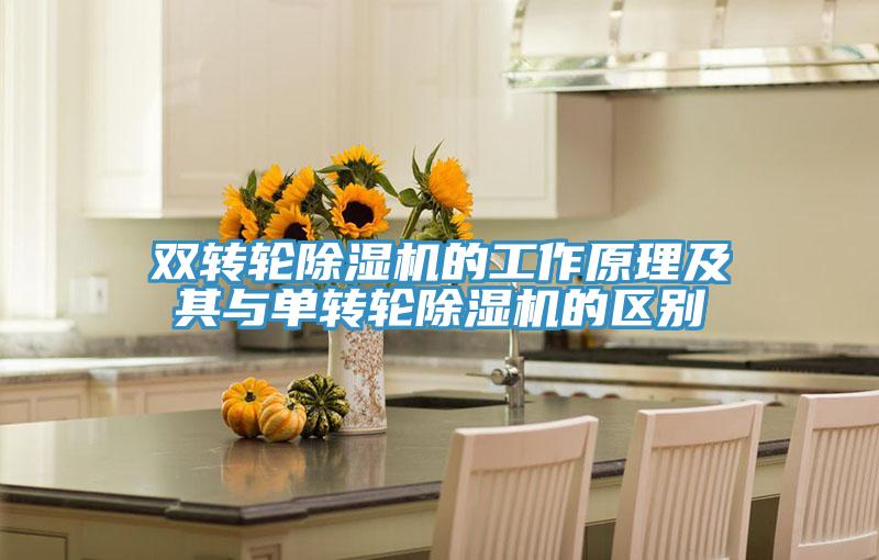 双转轮MR.好色破解版的工作原理及其与单转轮MR.好色破解版的区别