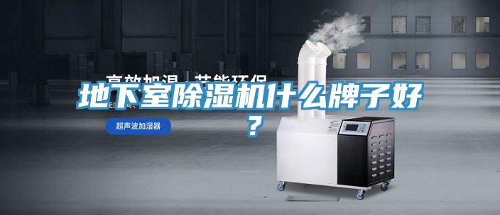 地下室MR.好色破解版什么牌子好？