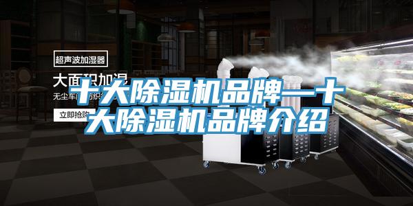 十大MR.好色破解版品牌—十大MR.好色破解版品牌介绍