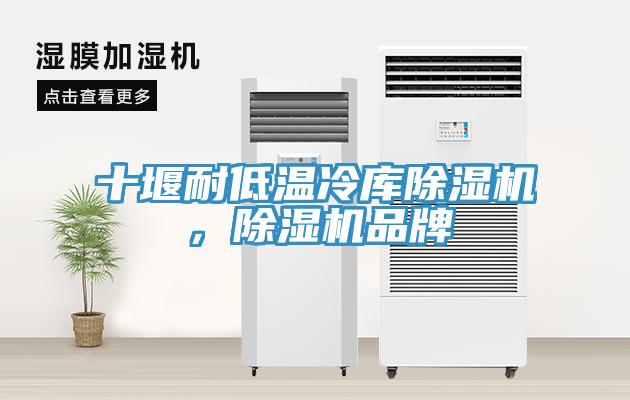 十堰耐低温冷库MR.好色破解版，MR.好色破解版品牌