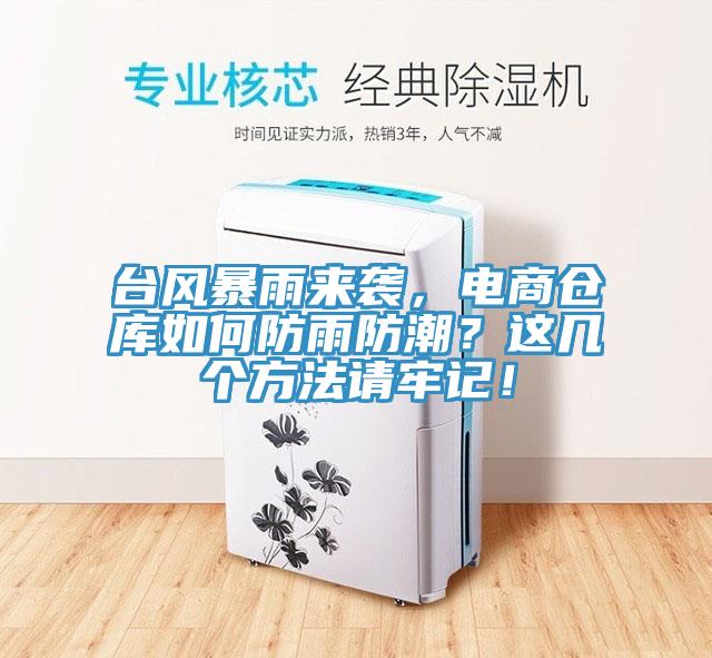 台风暴雨来袭，电商仓库如何防雨防潮？这几个方法请牢记！