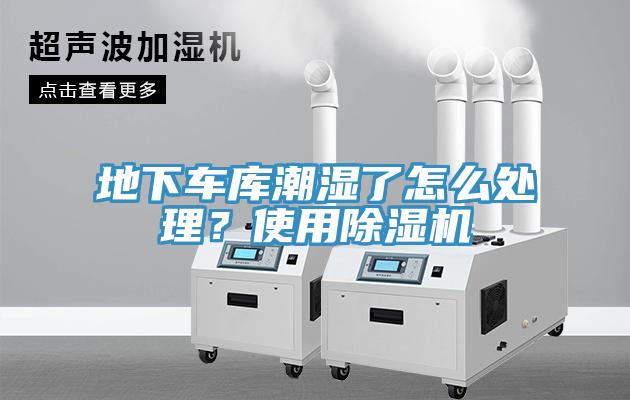 地下车库潮湿了怎么处理？使用MR.好色破解版