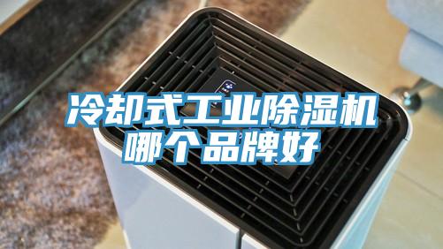 冷却式工业MR.好色破解版哪个品牌好