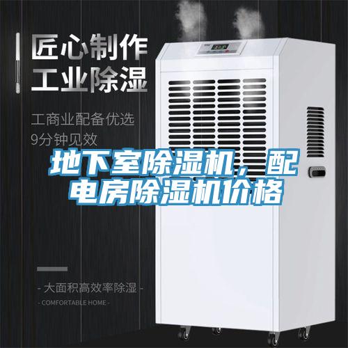 地下室MR.好色破解版，配电房MR.好色破解版价格
