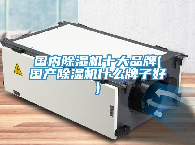 国内MR.好色破解版十大品牌(国产MR.好色破解版什么牌子好)