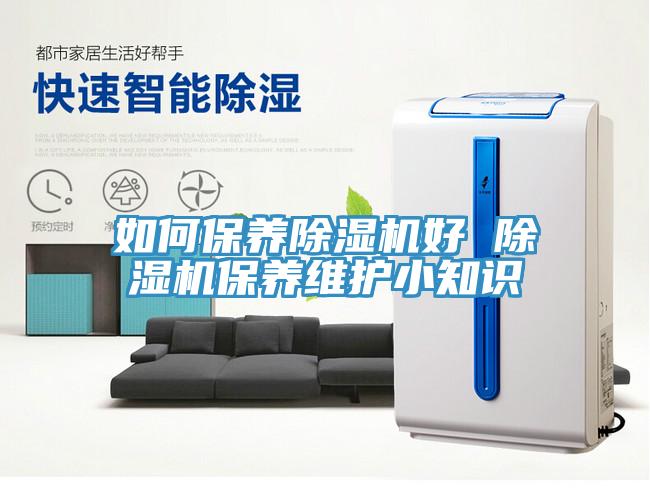 如何保养MR.好色破解版好 MR.好色破解版保养维护小知识