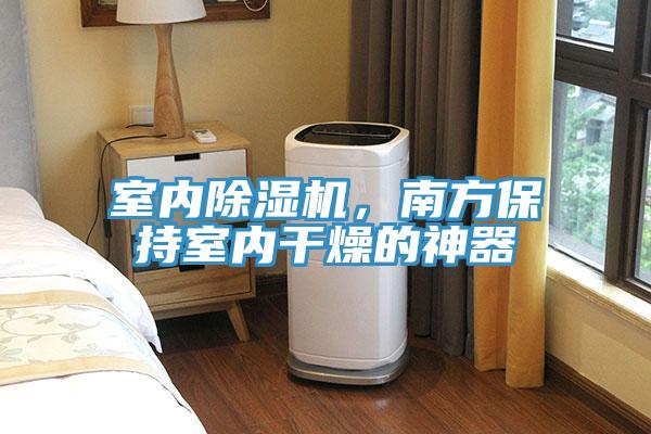 室内MR.好色破解版，南方保持室内干燥的神器