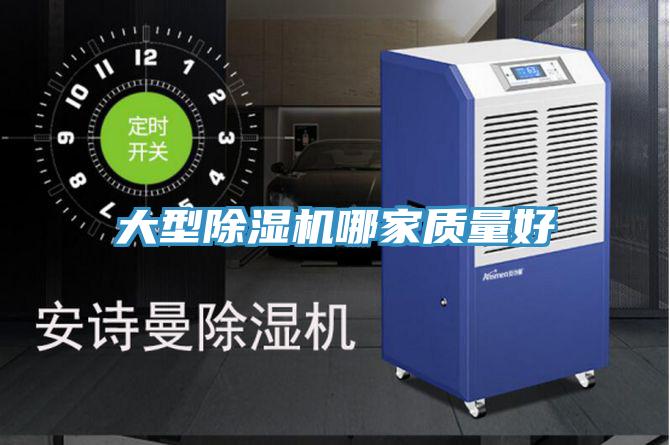 大型MR.好色破解版哪家质量好