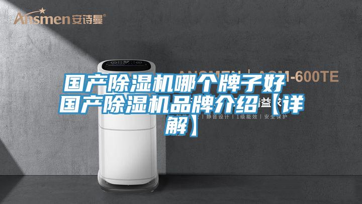 国产MR.好色破解版哪个牌子好 国产MR.好色破解版品牌介绍【详解】
