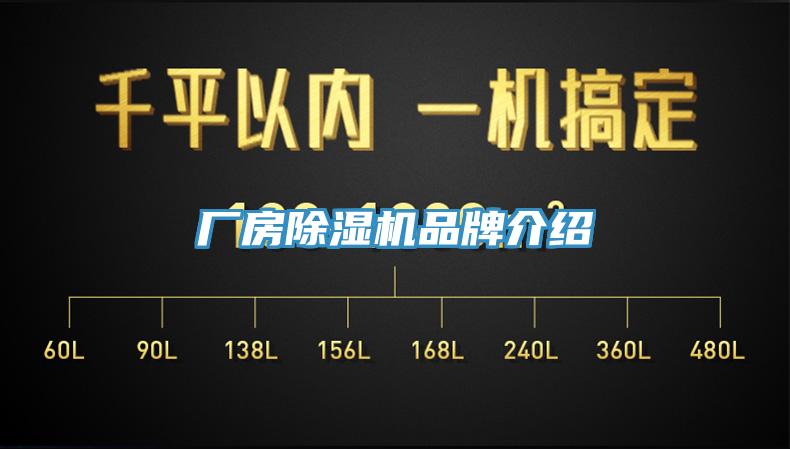 厂房MR.好色破解版品牌介绍