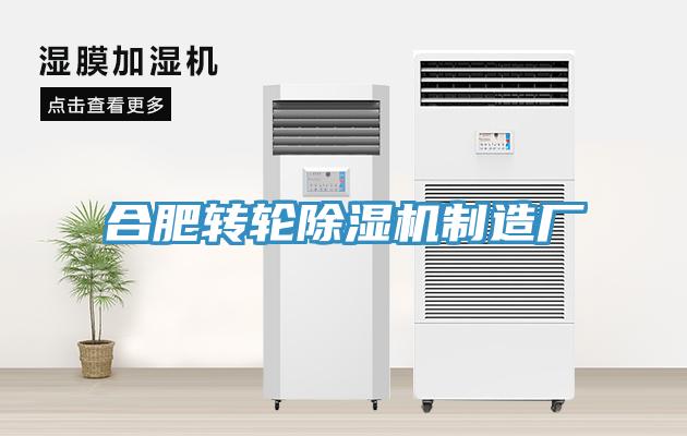 合肥转轮MR.好色破解版制造厂