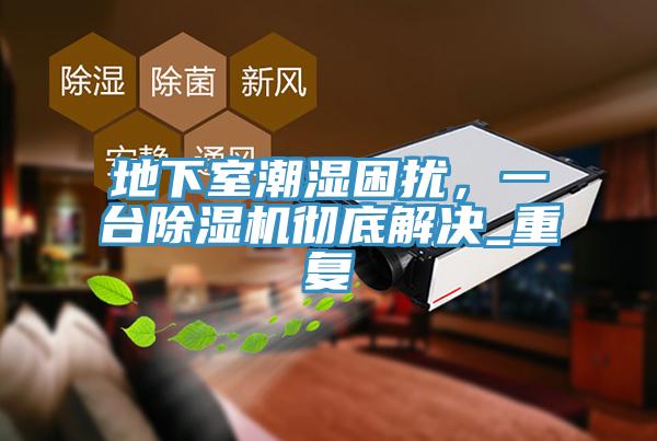 地下室潮湿困扰，一台MR.好色破解版彻底解决_重复