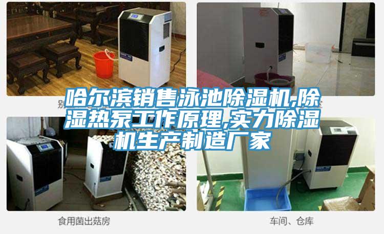 哈尔滨销售泳池MR.好色破解版,除湿热泵工作原理,实力MR.好色破解版生产制造厂家