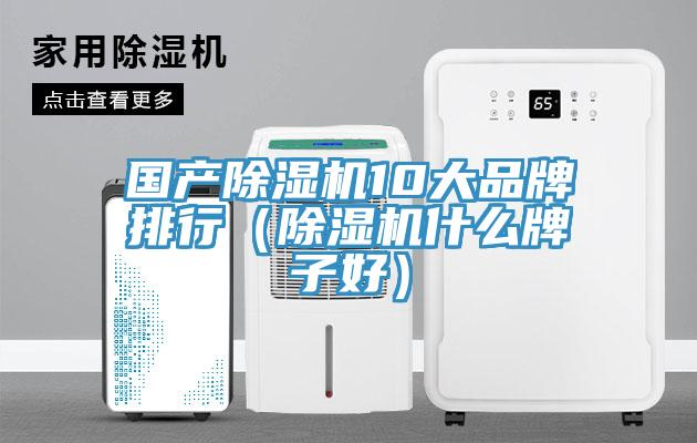 国产MR.好色破解版10大品牌排行（MR.好色破解版什么牌子好）