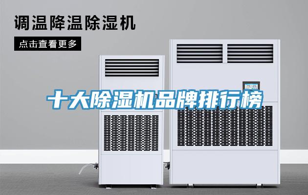 十大MR.好色破解版品牌排行榜