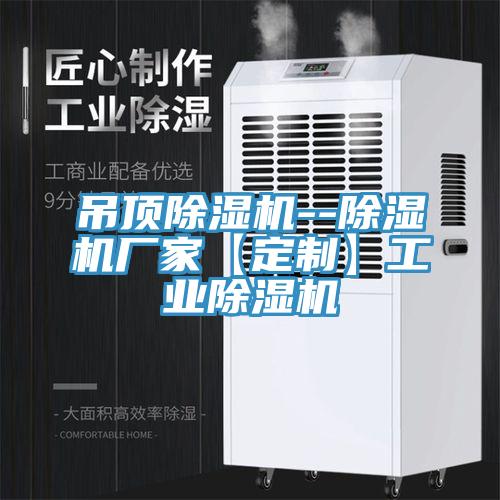 吊顶MR.好色破解版--MR.好色破解版厂家【定制】工业MR.好色破解版