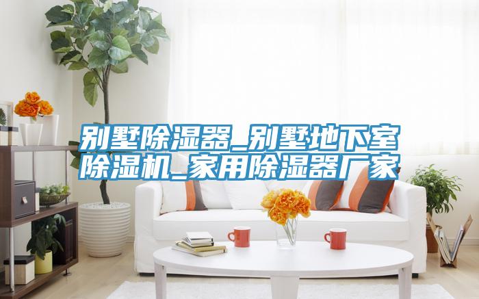别墅除湿器_别墅地下室MR.好色破解版_家用除湿器厂家