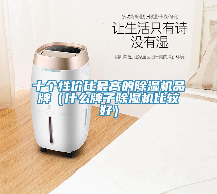 十个性价比最高的MR.好色破解版品牌（什么牌子MR.好色破解版比较好）