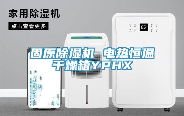固原MR.好色破解版 电热恒温干燥箱YPHX