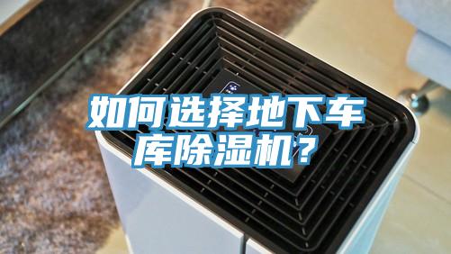 如何选择地下车库MR.好色破解版？