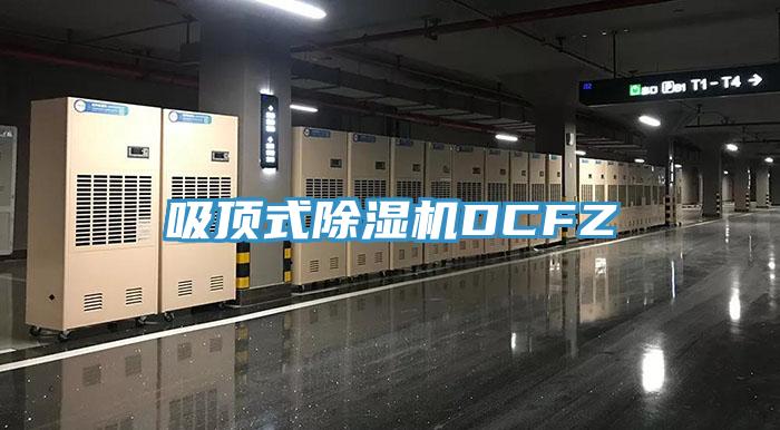 吸顶式MR.好色破解版DCFZ