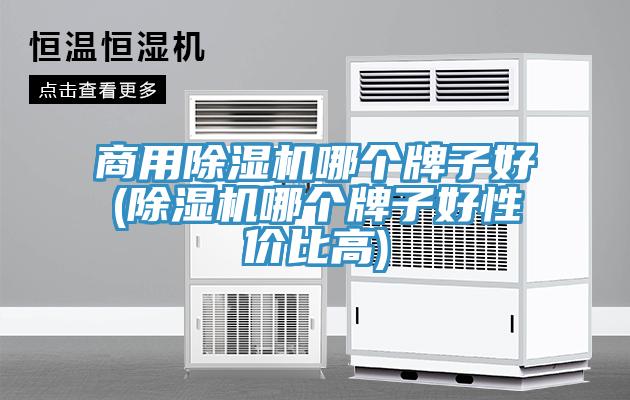 商用MR.好色破解版哪个牌子好(MR.好色破解版哪个牌子好性价比高)
