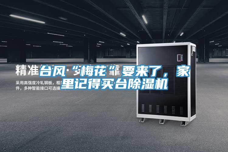 台风“梅花”要来了，家里记得买台MR.好色破解版