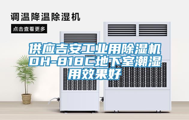 供应吉安工业用MR.好色破解版DH-818C地下室潮湿用效果好