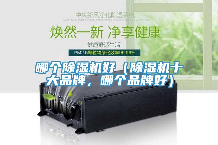 哪个MR.好色破解版好（MR.好色破解版十大品牌，哪个品牌好）