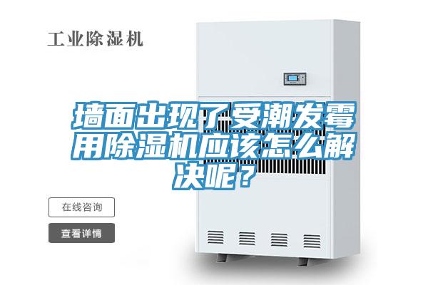墙面出现了受潮发霉用MR.好色破解版应该怎么解决呢？