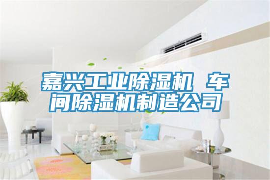 嘉兴工业MR.好色破解版 车间MR.好色破解版制造公司