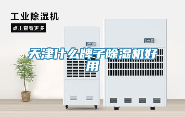 天津什么牌子MR.好色破解版好用