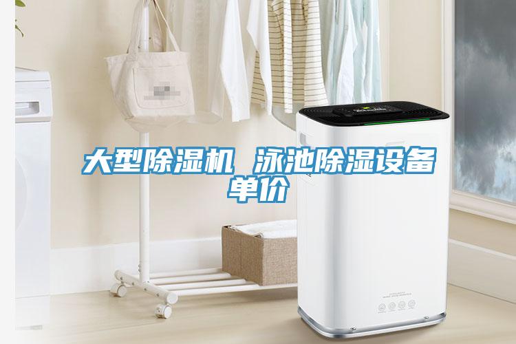 大型MR.好色破解版 泳池除湿设备单价