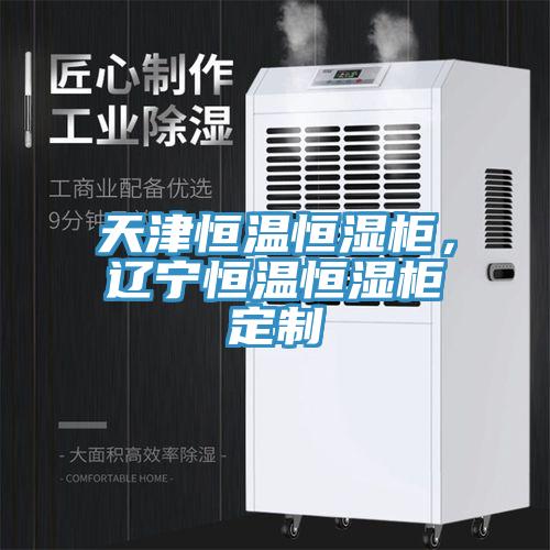 天津恒温恒湿柜，辽宁恒温恒湿柜定制