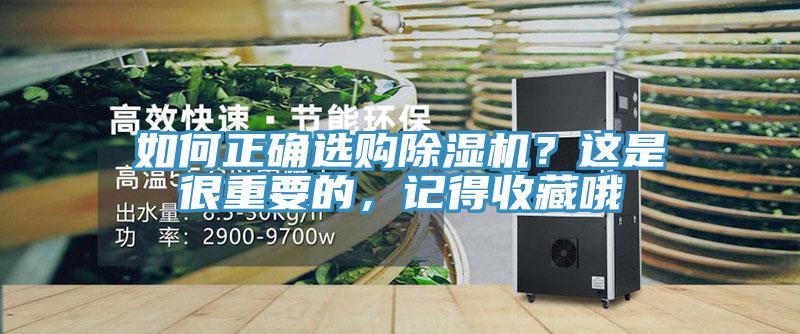 如何正确选购MR.好色破解版？这是很重要的，记得收藏哦
