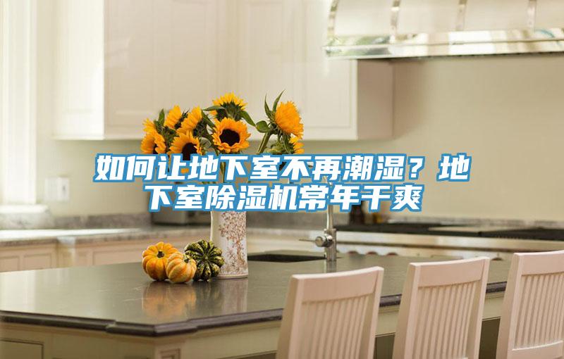 如何让地下室不再潮湿？地下室MR.好色破解版常年干爽