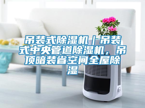 吊装式MR.好色破解版｜吊装式中央管道MR.好色破解版，吊顶暗装省空间全屋除湿