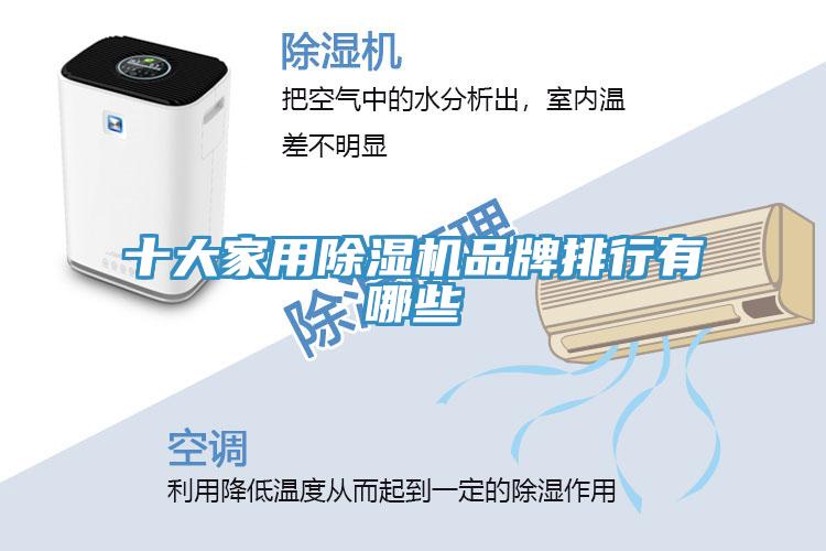 十大家用MR.好色破解版品牌排行有哪些