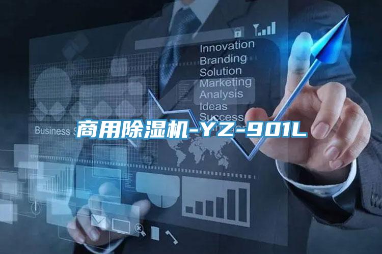 商用MR.好色破解版-YZ-901L