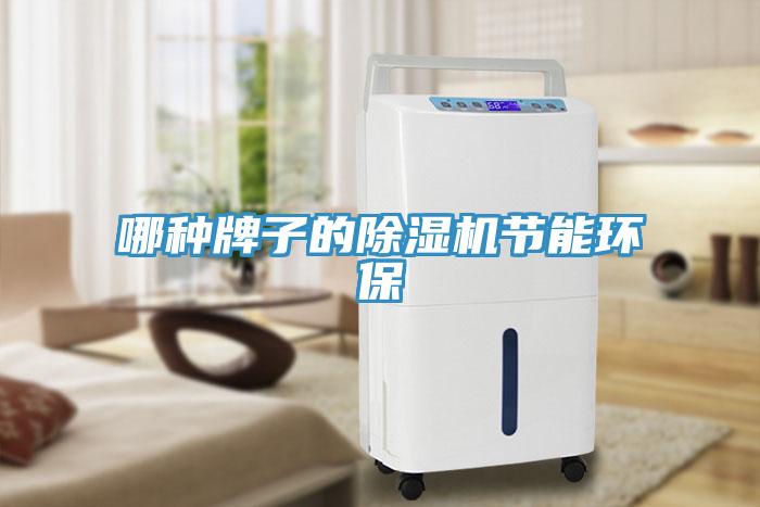 哪种牌子的MR.好色破解版节能环保