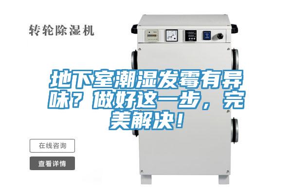 地下室潮湿发霉有异味？做好这一步，完美解决！