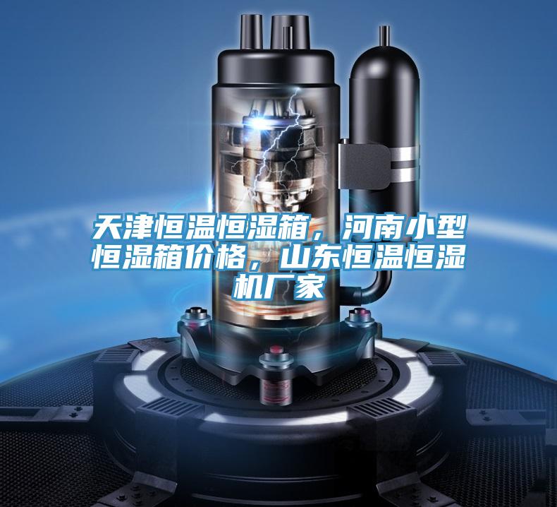 天津恒温恒湿箱，河南小型恒湿箱价格，山东恒温恒湿机厂家