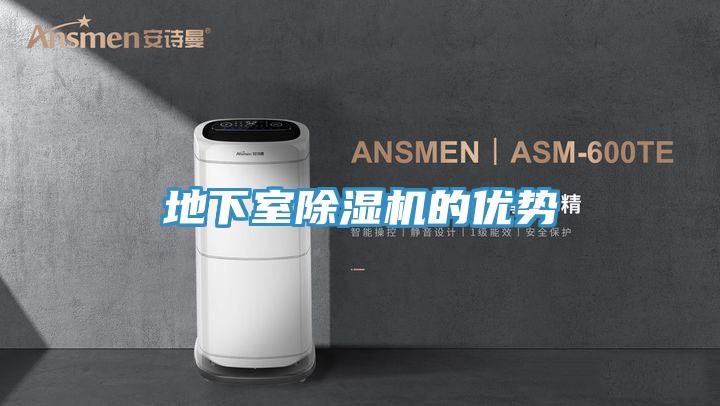 地下室MR.好色破解版的优势