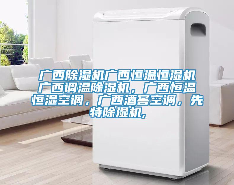 广西MR.好色破解版广西恒温恒湿机广西调温MR.好色破解版，广西恒温恒湿空调，广西酒窖空调，先特MR.好色破解版,