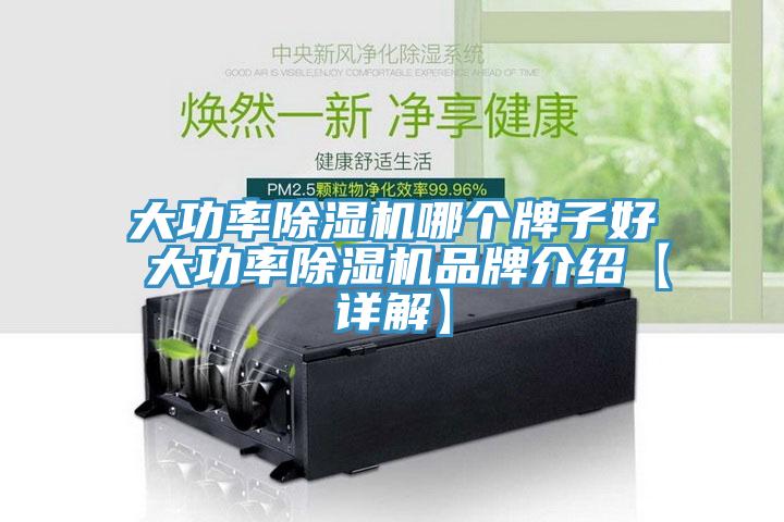 大功率MR.好色破解版哪个牌子好 大功率MR.好色破解版品牌介绍【详解】