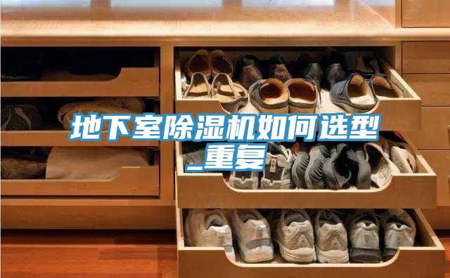 地下室MR.好色破解版如何选型_重复