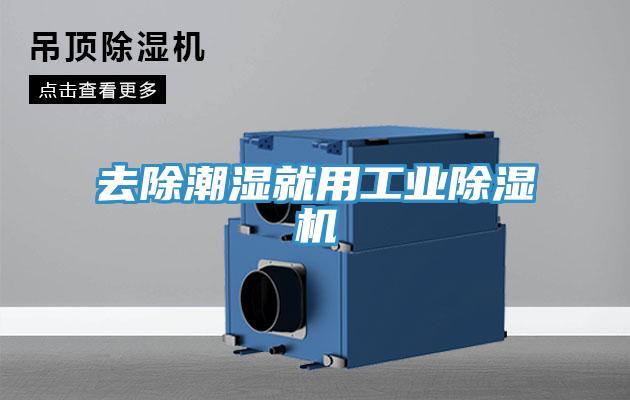 去除潮湿就用工业MR.好色破解版