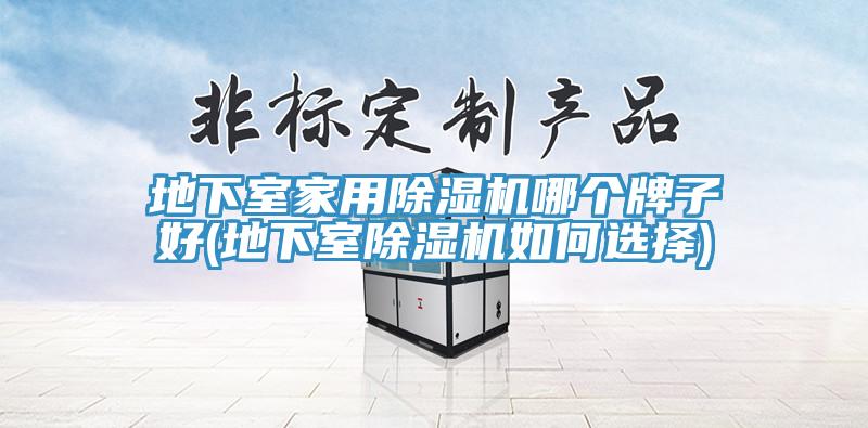 地下室家用MR.好色破解版哪个牌子好(地下室MR.好色破解版如何选择)