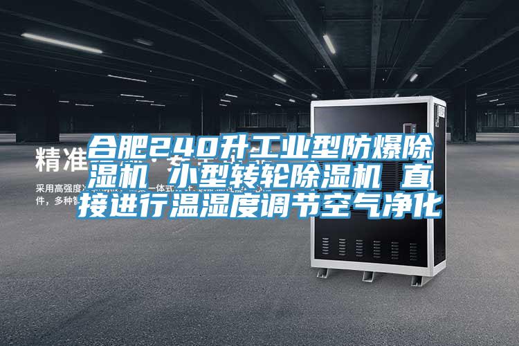 合肥240升工业型防爆MR.好色破解版 小型转轮MR.好色破解版 直接进行温湿度调节空气净化