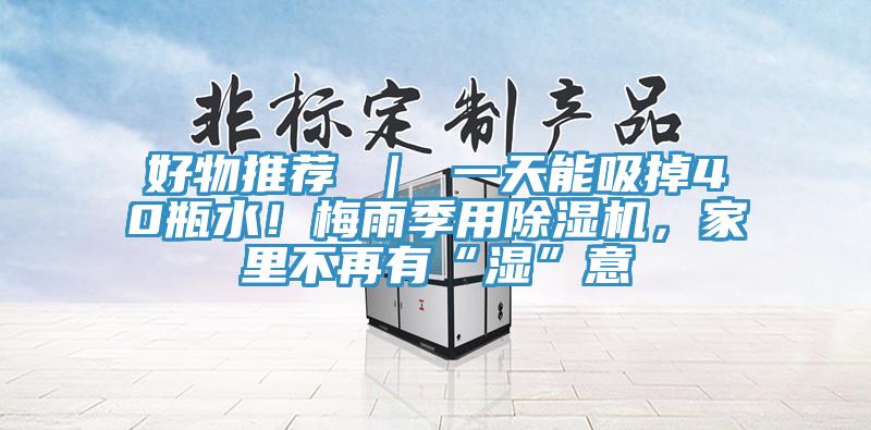 好物推荐 ｜ 一天能吸掉40瓶水！梅雨季用MR.好色破解版，家里不再有“湿”意